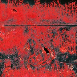 Concrete Winds - Concrete Winds LP Concrete Winds - Concrete Winds LP
