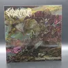 Sedimentum - Suppuration Morphogénésiaque LP