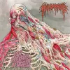 Hemorrhoid - Raw Materials of Decay LP