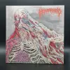 Hemorrhoid - Raw Materials of Decay LP