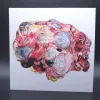 Coffin Mulch / Mick Harris - In Dub LP