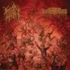 Noroth / Grave Infestation - Split LP