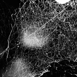 Hadopelagyal - Haematophoryktos CD