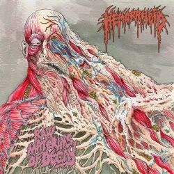Hemorrhoid - Raw Materials of Decay LP Hemorrhoid - Raw Materials of Decay LP