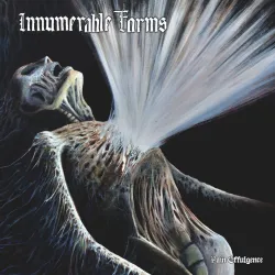 Innumerable Forms - Pain Effulgence CD Innumerable Forms - Pain Effulgence CD