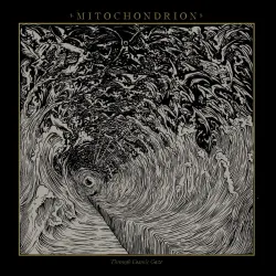 Mitochondrion - Through Cosmic Gaze LP