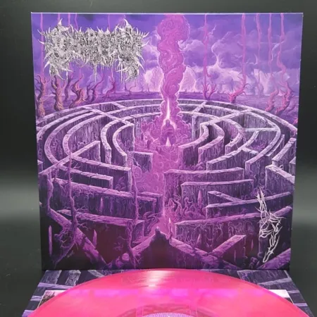 Civerous - Maze Envy LP