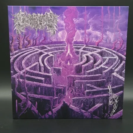 Civerous - Maze Envy LP