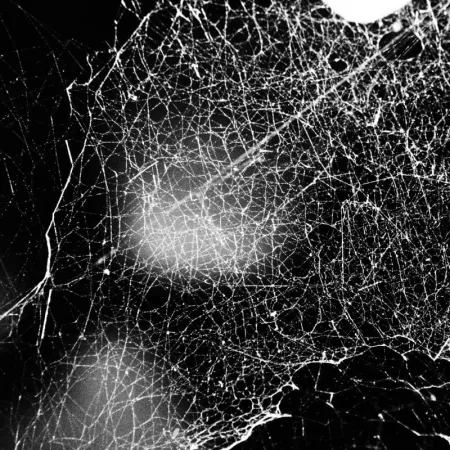 Hadopelagyal - Haematophoryktos CD