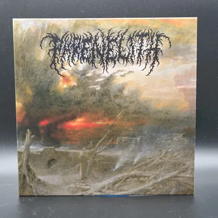 Phrenelith - Desolate Endscape LP