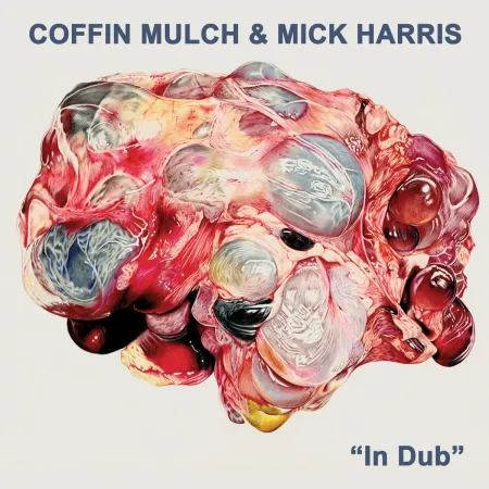 Coffin Mulch / Mick Harris - In Dub LP