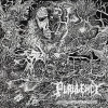 Purulency - Transcendent Unveiling Of Dimensions LP