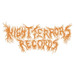 Night Terrors Records