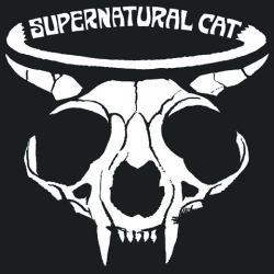 Supernatural Cat
