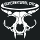 Supernatural Cat